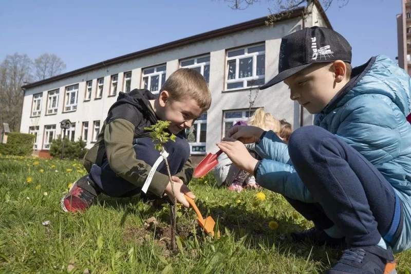 Jastrzębie-Zdrój: Dzieci w „zielonych przedszkolach” korzystają z własnych upraw